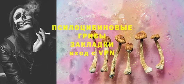 молекула духа Алексин